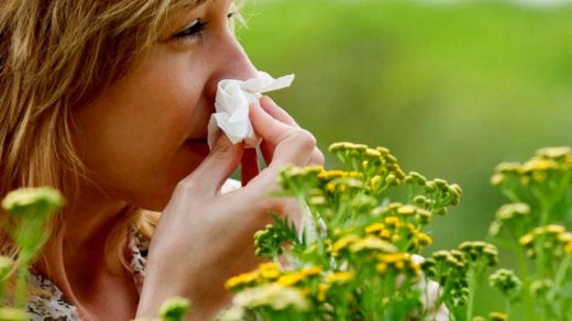 Бронхиальная астма и аллергический ринит, как проявления хронического респираторного воспалительного синдрома