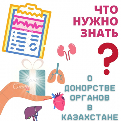 Что нужно знать о донорстве органов в Казахстане?